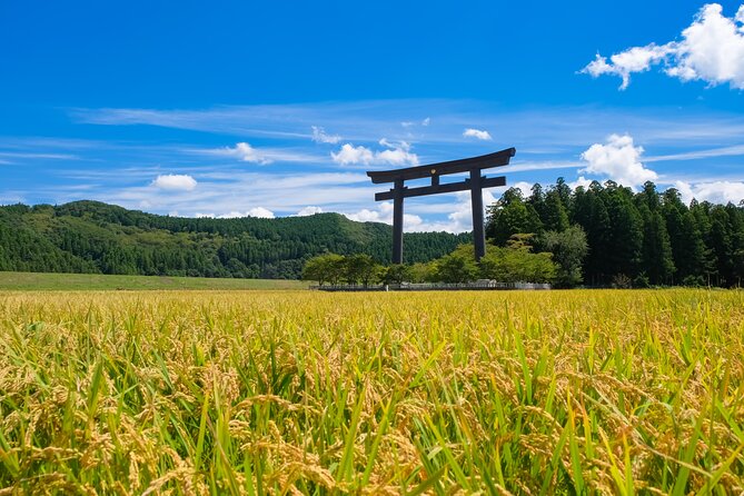 Kumano Kodo Pilgrimage Tour with Licensed Guide & Vehicle - The private vehicle setup that makes the day actually workable