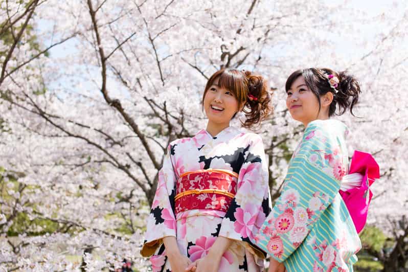 Kyoto: 1 Day Traditional Japanese Kimono Rental Experience - Kyoto Kimono Rental in Gion: Why This Works So Well