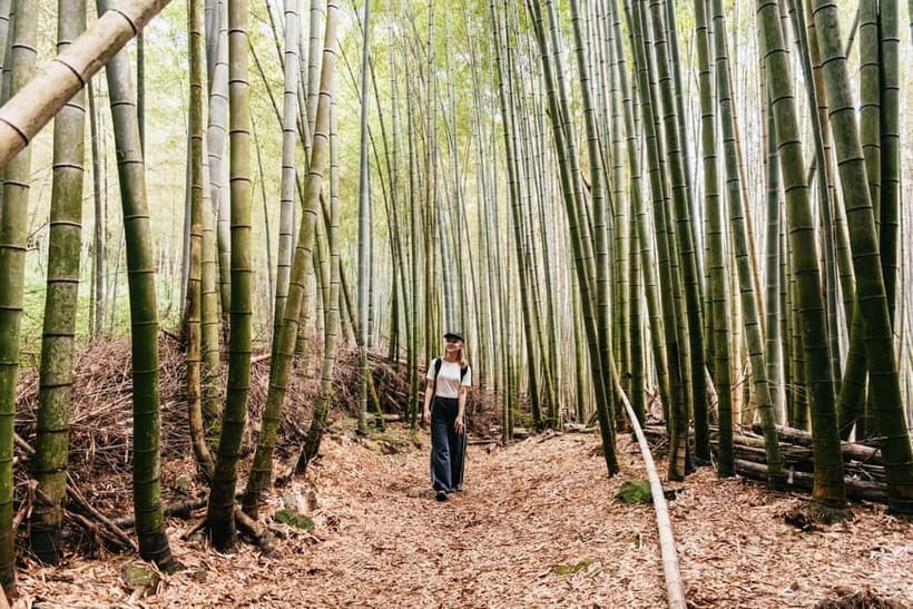 Kyoto: 3-Hour Fushimi Inari Shrine Hidden Hiking Tour - Why the Fushimi Inari “From the Back” Route Changes Everything