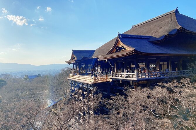 Kyoto 6h Private Tour Fushimi Inari, Kiyomizu, Gion & Hidden Gems - Sannenzaka and Ninenzaka: traditional lanes, shopping stops, and great walking