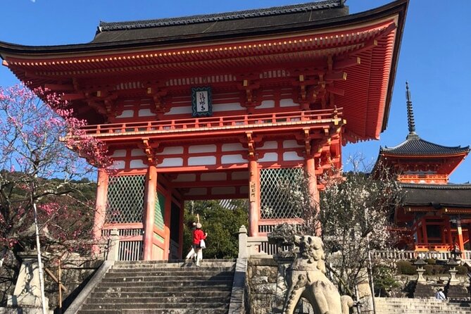 Kyoto 6h Private Tour Fushimi Inari, Kiyomizu, Gion & Hidden Gems - Fushimi Inari: torii gates, shrine symbolism, and a full hour to walk