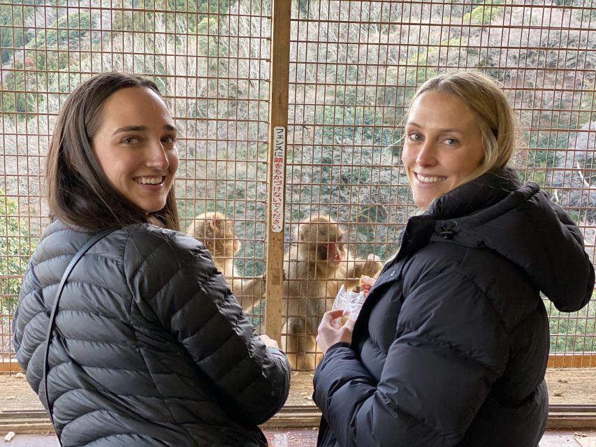 Kyoto: Afternoon Bamboo Forest and Monkey Park Bike Tour - Price and value: is $106 reasonable for what you get?