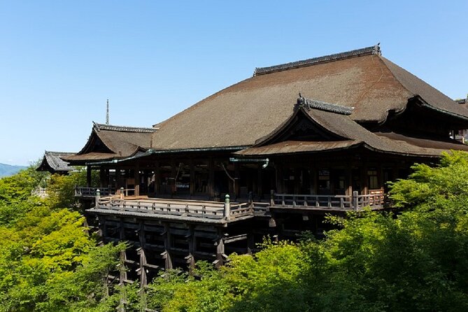 Kyoto Afternoon Tour from Kyoto or Osaka - The guide: why good narration changes a temple tour