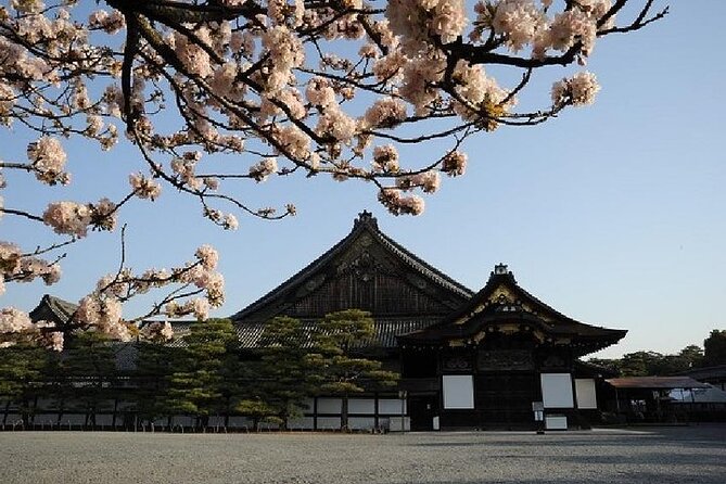 Kyoto and Nara Day Trip from Kyoto - Kyoto Imperial Palace Grounds and the Usual Monday Swap