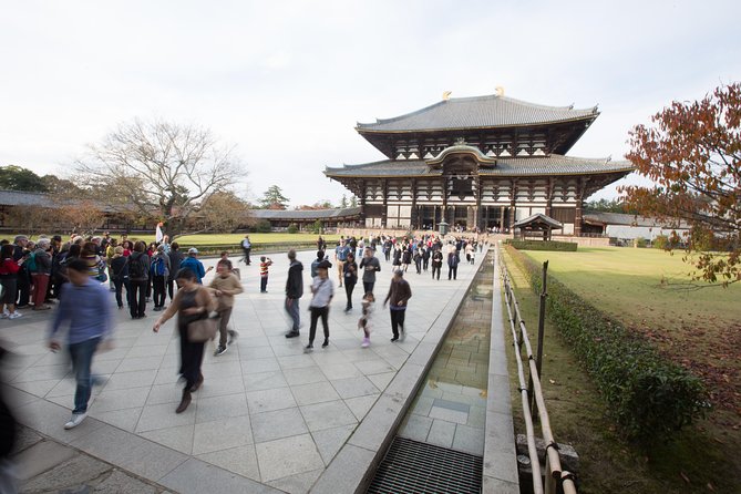 Kyoto and Nara Day Trip from Kyoto - Kasuga Grand Shrine Lanterns, Main Sanctuary Access, and Deer Park Ending