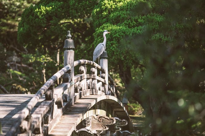 Kyoto and Nara Day Trip from Kyoto - How the Pace Feels in Real Life