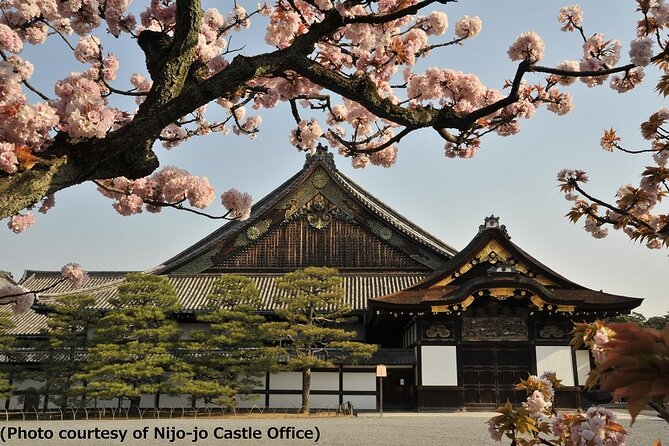Kyoto and Nara Day Trip from Osaka - Nijo Castle: Tokugawa prestige in a fast 50-minute visit