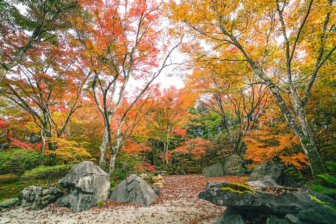 Kyoto Arashiyama Bamboo forest & Garden Half-Day Walking Tour - Bamboo Forest Street: time to shoot, not just pass through