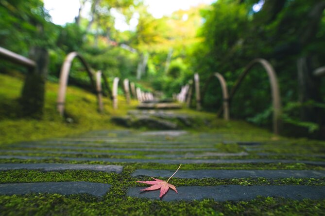 Kyoto Arashiyama Bamboo forest & Garden Half-Day Walking Tour - Togetsukyo Bridge lunch: Kyoto-style recovery with matcha later