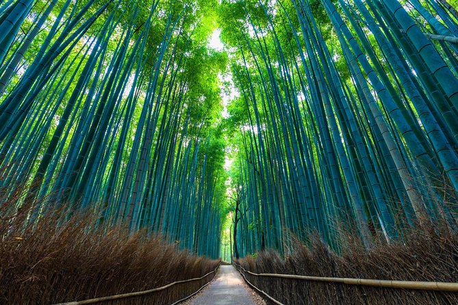 Kyoto Arashiyama Bamboo forest & Garden Half-Day Walking Tour - Hokyoin: a hidden-garden feeling without the need to hunt for it