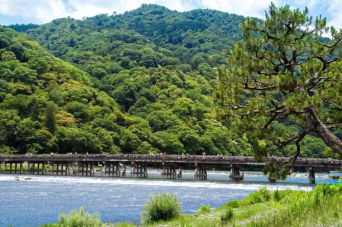 Kyoto: Arashiyama Bamboo Forest, Monkeys, Matcha & Temple Tour - Key highlights worth planning for
