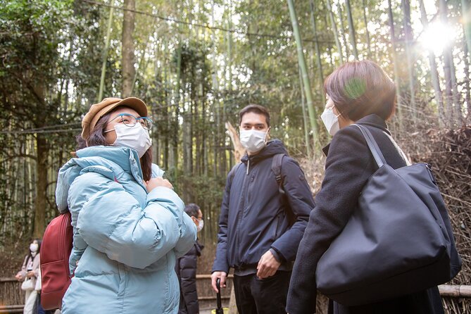 Kyoto Arashiyama Bamboo Forest & Scenery Customized Private Tour - Okochi Sanso and hillside temples: more variety than you expect