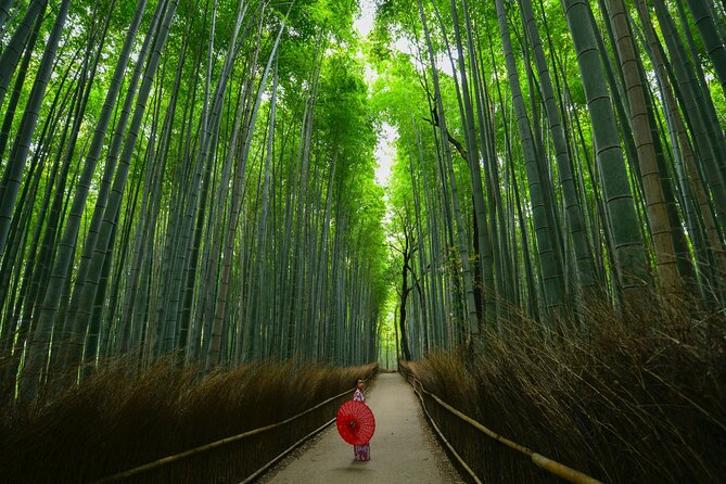Kyoto: Arashiyama Bamboo, Temple, Matcha, Monkeys & secret spots - Arashiyama shopping street: you get help, not just a walk-by