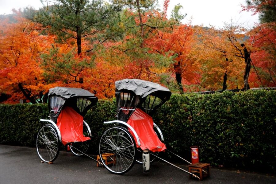 Kyoto: Arashiyama Customized Rickshaw Tour & Bamboo Forest - Should You Book This Arashiyama Bamboo Forest Rickshaw Tour?