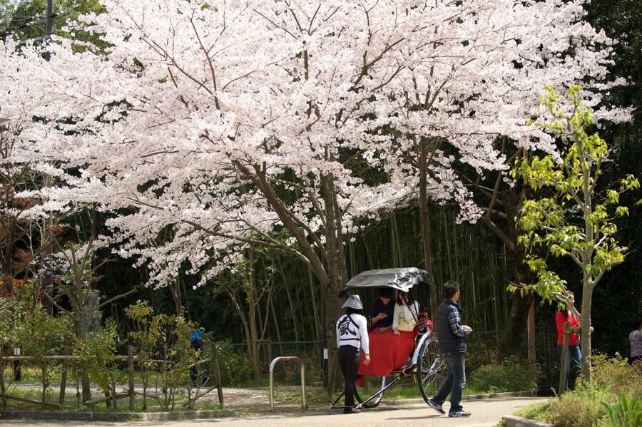 Kyoto: Arashiyama Customized Rickshaw Tour & Bamboo Forest - Who This Tour Fits Best (and Who Should Skip It)