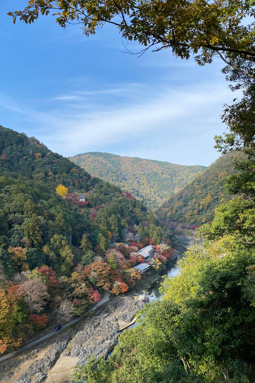 Kyoto: Arashiyama Guided Tour, Bamboo, Monkey, Zen Temple - Walking the Bamboo Forest Path with real context