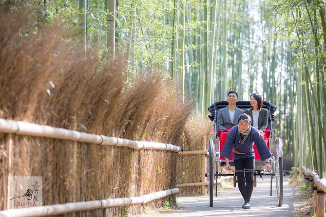 Kyoto Arashiyama Rickshaw Tour with Bamboo Forest - Key highlights you will actually care about