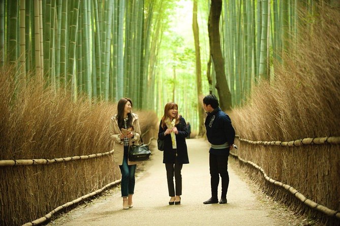 Kyoto Arashiyama Rickshaw Tour with Bamboo Forest - Why a rickshaw changes the Arashiyama bamboo game