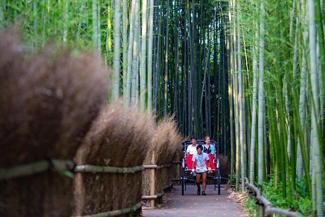 Kyoto Arashiyama Rickshaw Tour with Bamboo Forest - Haiku poet cottage and the charm stops that add variety