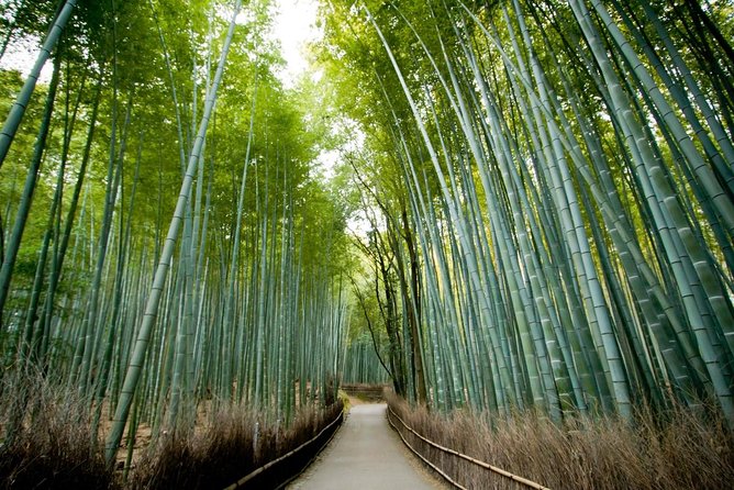 Kyoto Arashiyama Rickshaw Tour with Bamboo Forest - The rickshaw ride through bamboo forest street