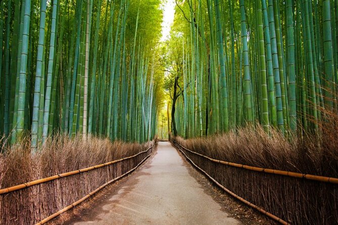 Kyoto Arashiyama Walking Tour: Bamboo, Monkeys, Gardens & Secrets - Bamboo Forest Trail: The Famous Grove, Without Making It a Slog