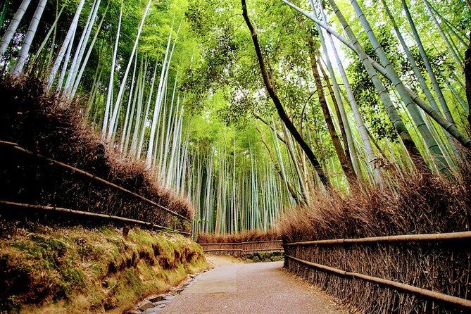 Kyoto Arashiyama Walking Tour: Bamboo, Monkeys, Gardens & Secrets - Pacing, Small-Group Size, and Why the Guide Matters