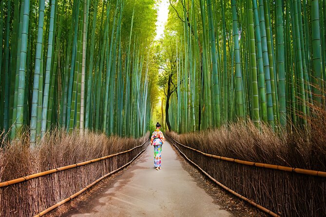 Kyoto Arashiyama Walking Tour: Bamboo, Monkeys, Gardens & Secrets - Nonomiya Shrine: A Small Shinto Stop With a Specific Purpose