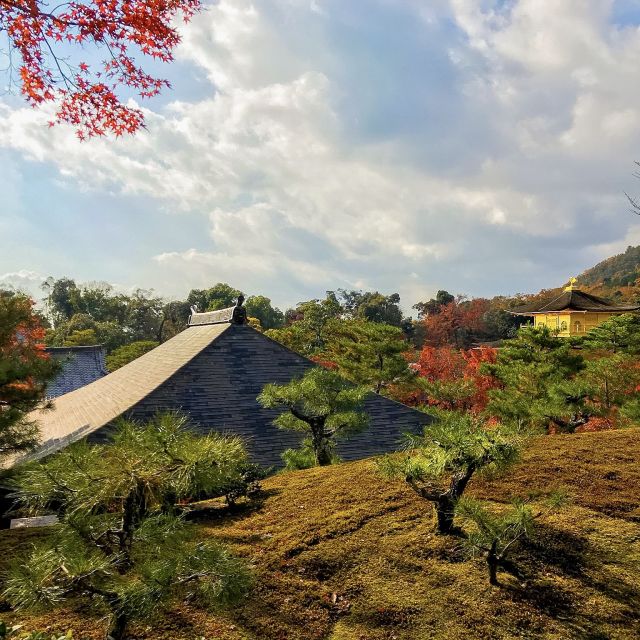 Kyoto: City Secrets eBike Tour - Tea ceremony and café-style breaks that keep the day human