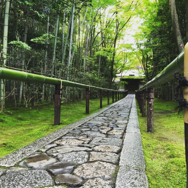 Kyoto: City Secrets eBike Tour - Group size, guides, and why small feels better in Kyoto