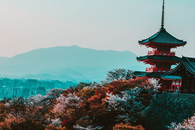 Kyoto Custom Private Walking Tour with A Guide (Private Tour) - Key things you should know before you go