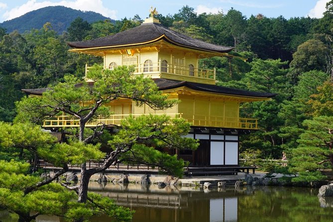 Kyoto Day Trip using Private Car with English Driver (up to 5) - Kinkaku-ji Golden Pavilion: how to enjoy Golden Pavilion without burning time
