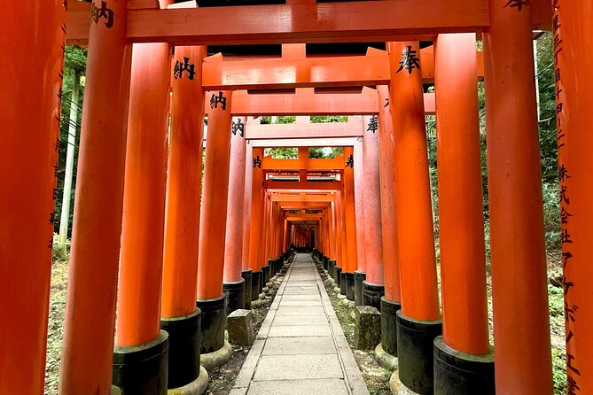 Kyoto Early Bird English Tour: Fushimi-Inari and Arashiyama - Price and value: what the $96.83 gets you, plus the extras