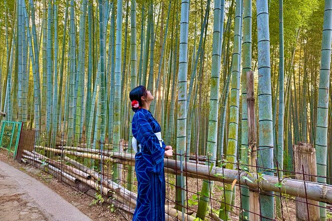 Kyoto Early Bird English Tour: Fushimi Inari & Gion(Private opt) - Entering Fushimi Inari-taisha Shrine before the crowd wave