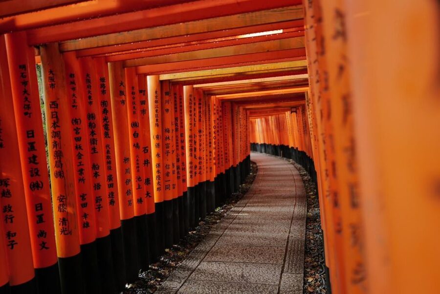 Kyoto Early Morning Tour with English-Speaking Guide - Price and Value: What $68.98 Covers, Plus the Real Extra Costs