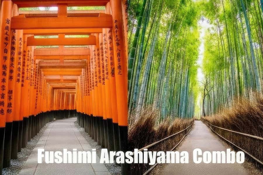 Kyoto: Fushimi, Arashiyama - Bamboo, Monkey, Torii & Secrets - Key highlights to know before you go