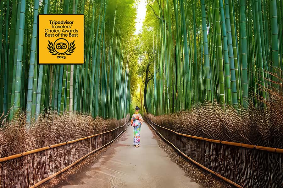 Kyoto: Fushimi, Arashiyama - Bamboo, Monkey, Torii & Secrets - Fushimi Inari Taisha: torii gates, stairways, and respectful wandering