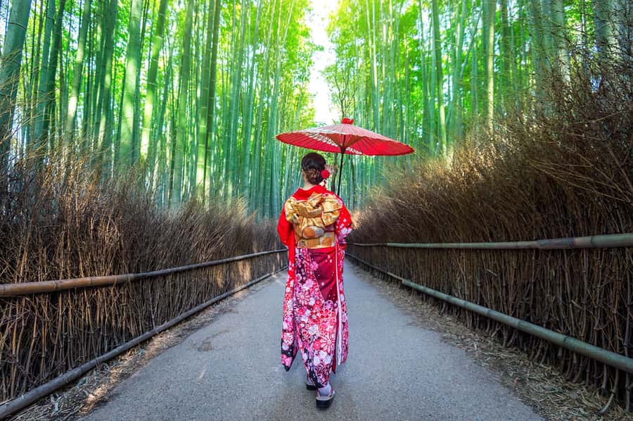 Kyoto: Fushimi, Arashiyama - Bamboo, Monkey, Torii & Secrets - Togetsukyo Moon Crossing Bridge: river views and classic Kyoto angles