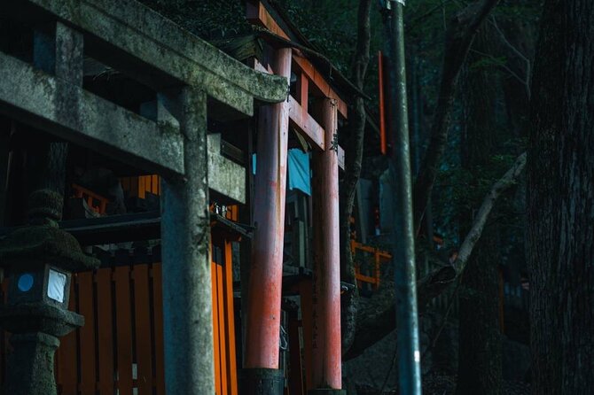 Kyoto Fushimi-Inari Night Walking Tour - Photos and timing: when the lighting helps your camera