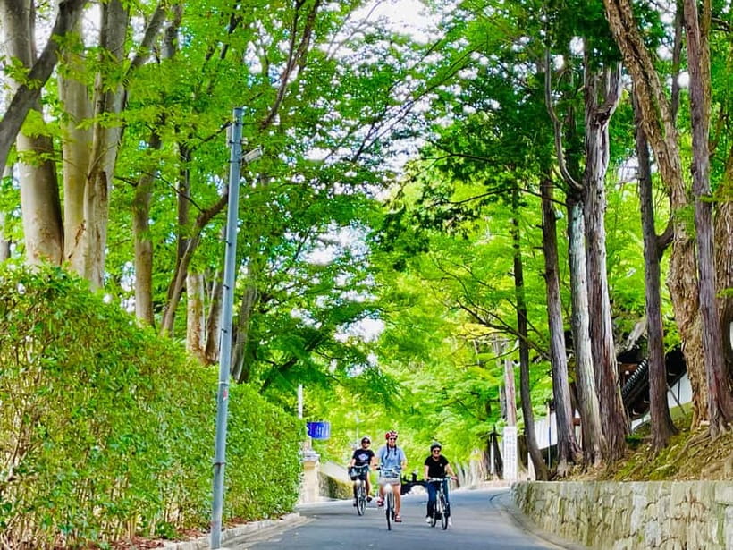 Kyoto: Fushimi Inari Shrine and Tofukuji Temple E-Bike Tour - Quiet streets in Kyoto suburbs: the part most itineraries skip