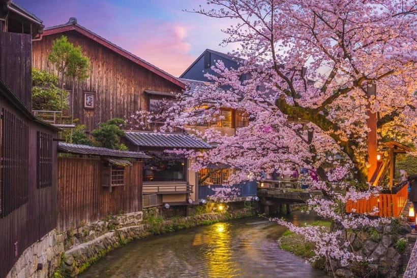 Kyoto Geisha Walking Tour: Gion District & Hidden Gems - The Part You’ll Use After the Tour: Food, Bars, and What to Do Next