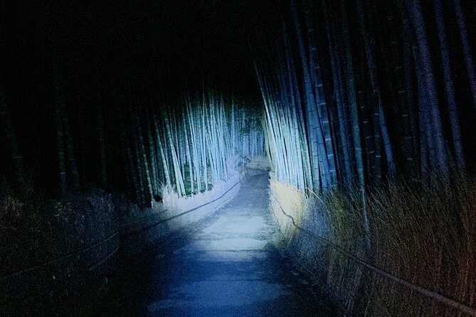Kyoto Ghost Tour: Dark Tales, Urban Legends, Bamboo Forest Night - Price and what you get for $43.84