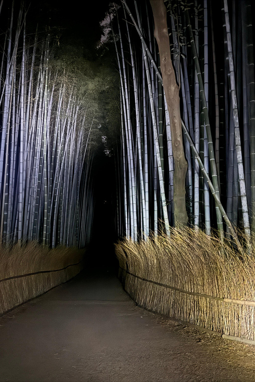 Kyoto: Ghost Tour - Legends, Dark Tales, Bamboo Forest Night - Key things to know before you go