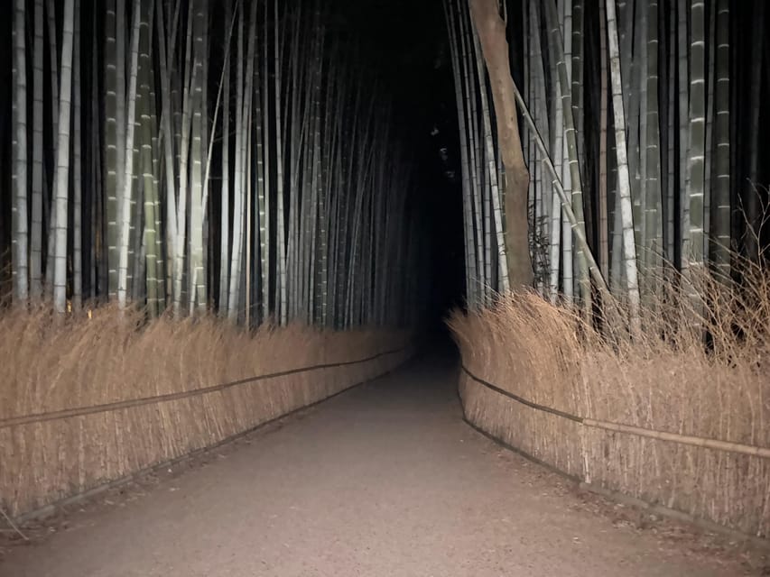 Kyoto: Ghost Tour - Legends, Dark Tales, Bamboo Forest Night - Walking the bamboo: guided storytelling plus the solo courage test