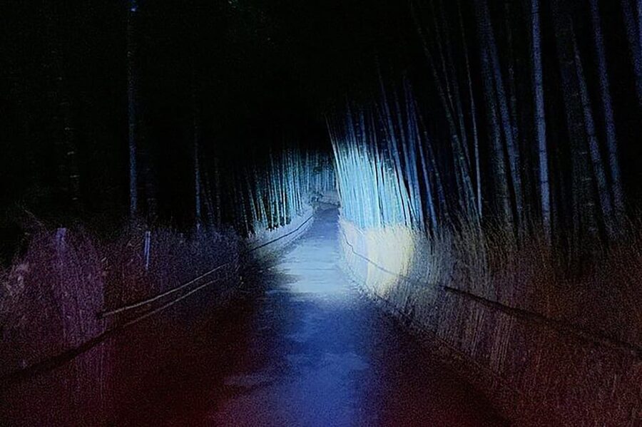 Kyoto: Ghost Tour - Legends, Dark Tales, Bamboo Forest Night - The drink, creepy surprise, and the anti-curse QR code ritual