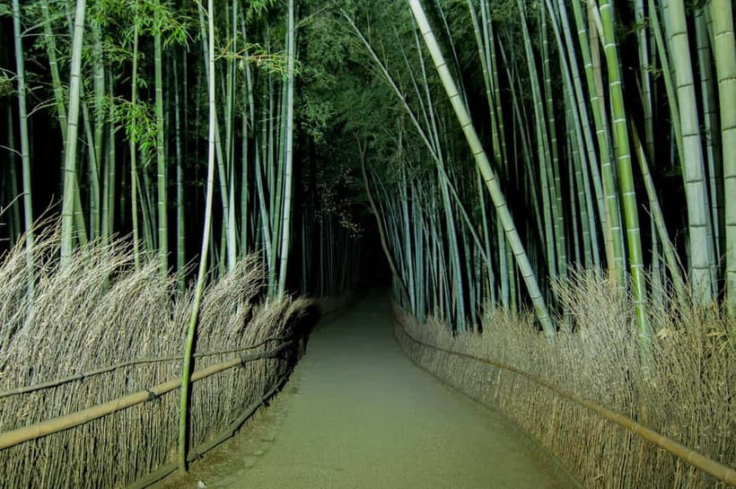 Kyoto: Ghost Tour - Legends, Dark Tales, Bamboo Forest Night - Who should book this Kyoto Ghost Tour, and who should skip