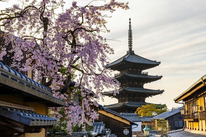 Kyoto Gion Early Morning Walking Tour - Why a 3-hour Gion start beats doing it later
