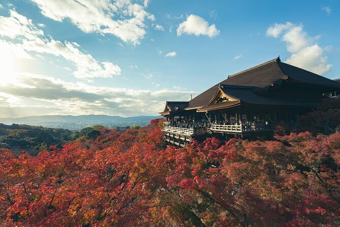 Kyoto Gion Early Morning Walking Tour - Meeting point, pace, and what you get for $49.42
