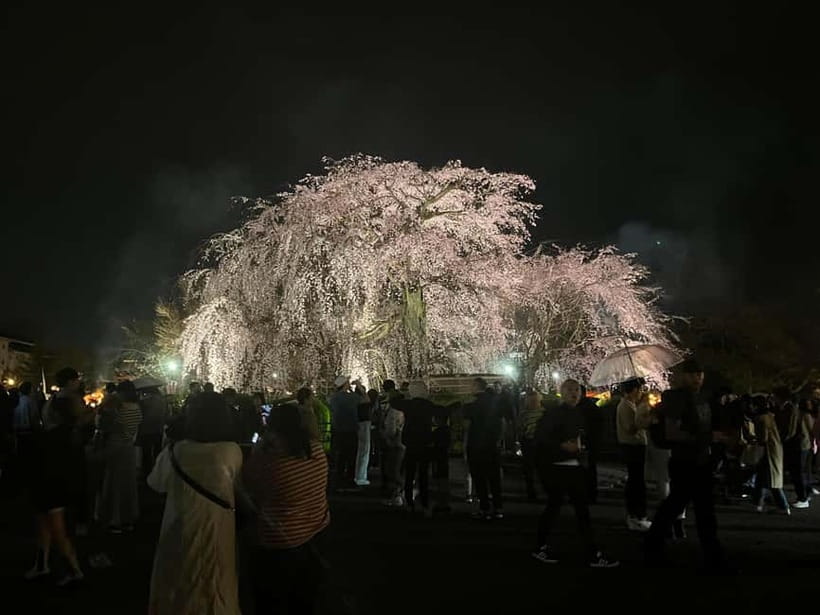 Kyoto: Gion Walking Tour - Tatsumi Jinja and Tatsumi Hashi: the shrine stop that changes the pace