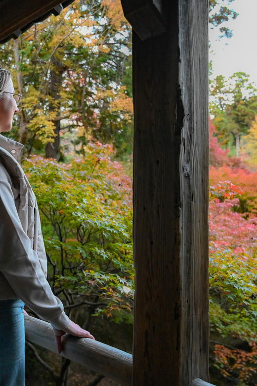 Kyoto: Half-day Guided Bike Tour with Fushimi Inari - How long is the ride, and what the pace feels like