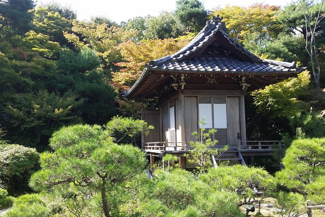 Kyoto Highlights: Arashiyama & Fushimi Inari by Private Car - Fushimi Inari-taisha: Torii Gates, Vertical Energy, and Choosing Your Level
